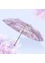 Transparent Design Umbrella 110CM