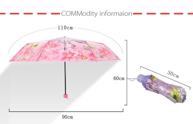transparent umbrella in bangladesh
